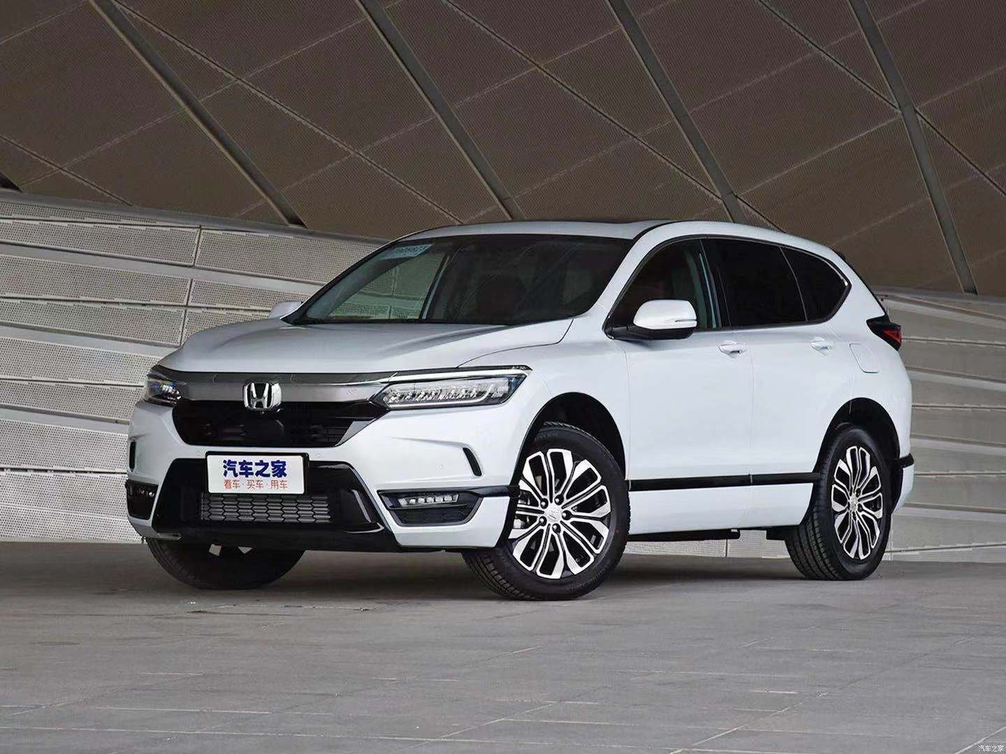 格陵兰白参考图